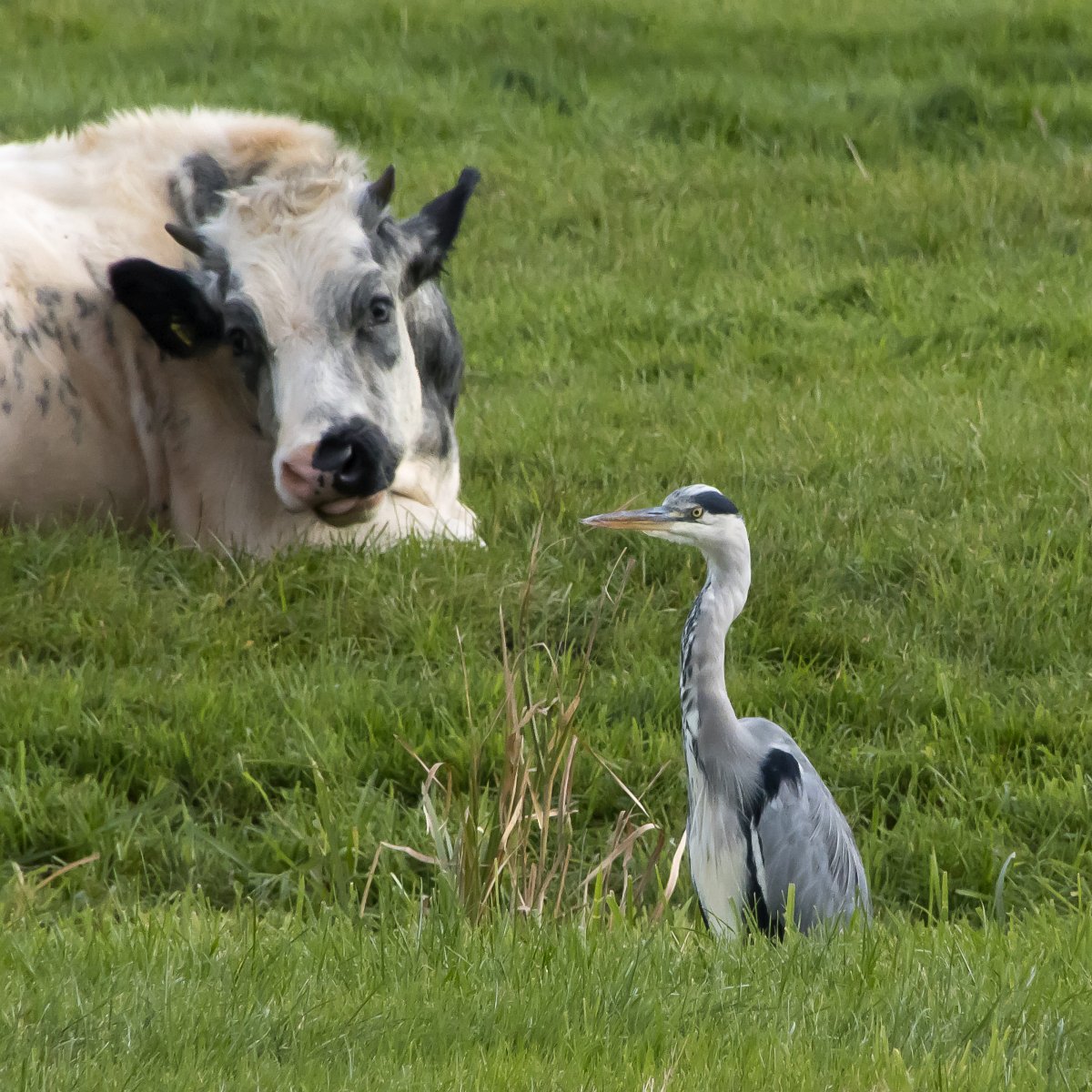 foto: [20211001PV4769]